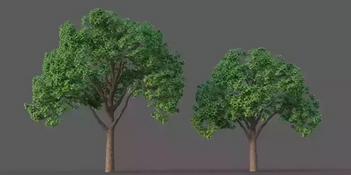 CGTrader 3D Models Available for only Filextras Members - 2 CGTrader 3D Models Available for only Filextras Members - 2