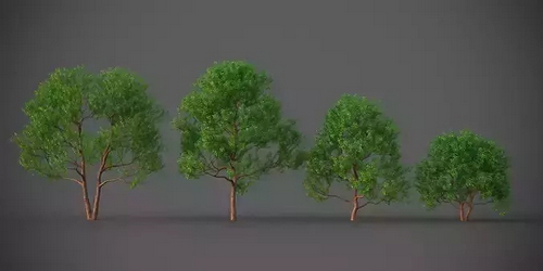 CGTrader 3D Models Available for only Filextras Members CGTrader 3D Models Available for only Filextras Members