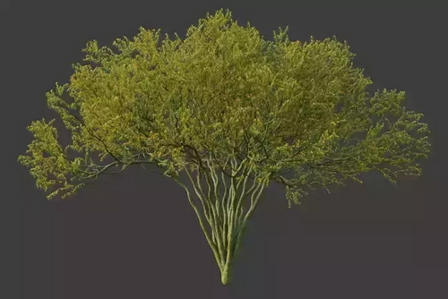 CGTrader 3D Models Available for only Filextras Members - 2 CGTrader 3D Models Available for only Filextras Members - 2