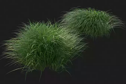 CGTrader 3D Models Available for only Filextras Members CGTrader 3D Models Available for only Filextras Members