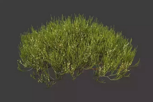 CGTrader 3D Models Available for only Filextras Members CGTrader 3D Models Available for only Filextras Members