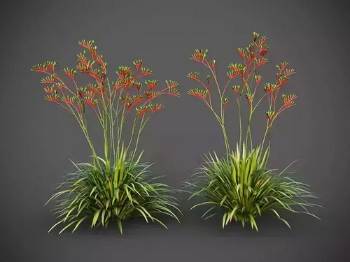 CGTrader 3D Models Available for only Filextras Members CGTrader 3D Models Available for only Filextras Members