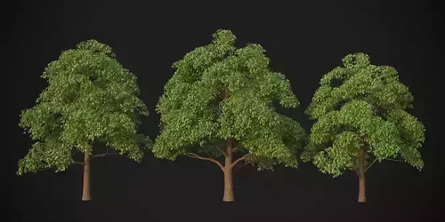 CGTrader 3D Models Available for only Filextras Members - 2 CGTrader 3D Models Available for only Filextras Members - 2