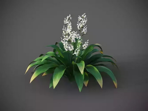 CGTrader 3D Models Available for only Filextras Members CGTrader 3D Models Available for only Filextras Members