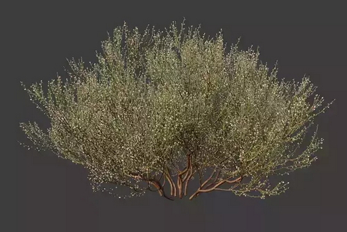 CGTrader 3D Models Available for only Filextras Members - 2 CGTrader 3D Models Available for only Filextras Members - 2