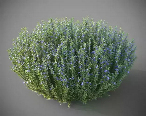 CGTrader 3D Models Available for only Filextras Members CGTrader 3D Models Available for only Filextras Members