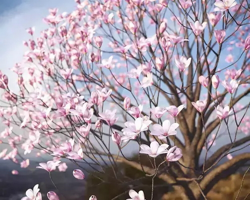 CGTrader 3D Models Available for only Filextras Members CGTrader 3D Models Available for only Filextras Members