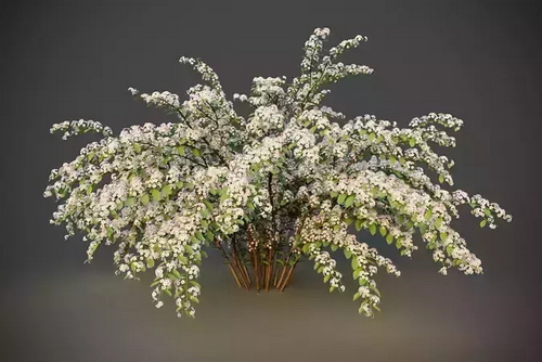 CGTrader 3D Models Available for only Filextras Members - 2 CGTrader 3D Models Available for only Filextras Members - 2