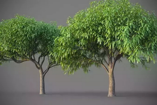 CGTrader 3D Models Available for only Filextras Members - 2 CGTrader 3D Models Available for only Filextras Members - 2