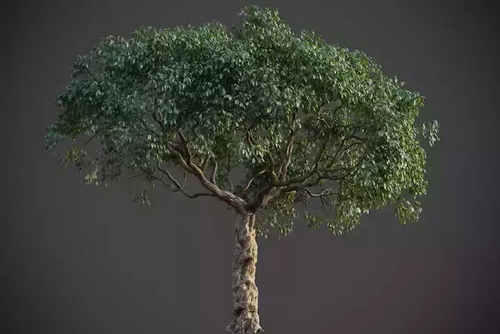 CGTrader 3D Models Available for only Filextras Members CGTrader 3D Models Available for only Filextras Members