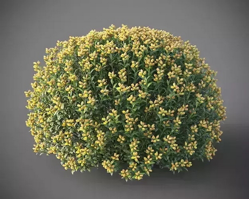 CGTrader 3D Models Available for only Filextras Members - 2 CGTrader 3D Models Available for only Filextras Members - 2