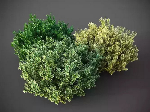 CGTrader 3D Models Available for only Filextras Members CGTrader 3D Models Available for only Filextras Members