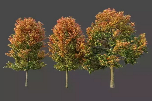 CGTrader 3D Models Available for only Filextras Members - 2 CGTrader 3D Models Available for only Filextras Members - 2