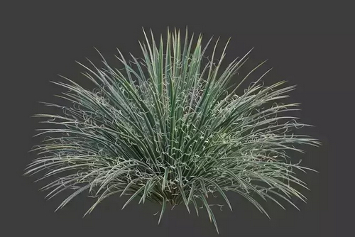 CGTrader 3D Models Available for only Filextras Members CGTrader 3D Models Available for only Filextras Members