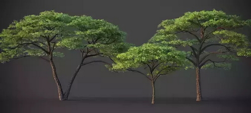 CGTrader 3D Models Available for only Filextras Members - 2 CGTrader 3D Models Available for only Filextras Members - 2