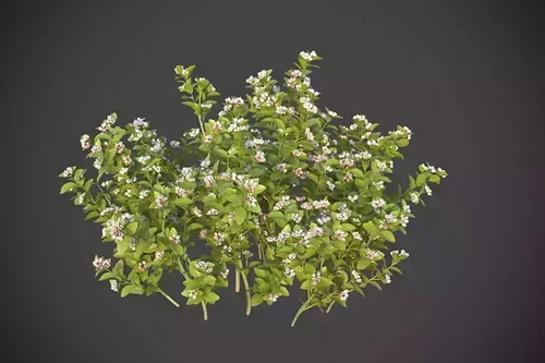 CGTrader 3D Models Available for only Filextras Members CGTrader 3D Models Available for only Filextras Members