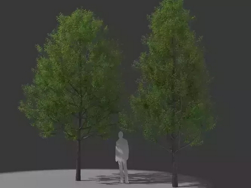 CGTrader 3D Models Available for only Filextras Members CGTrader 3D Models Available for only Filextras Members