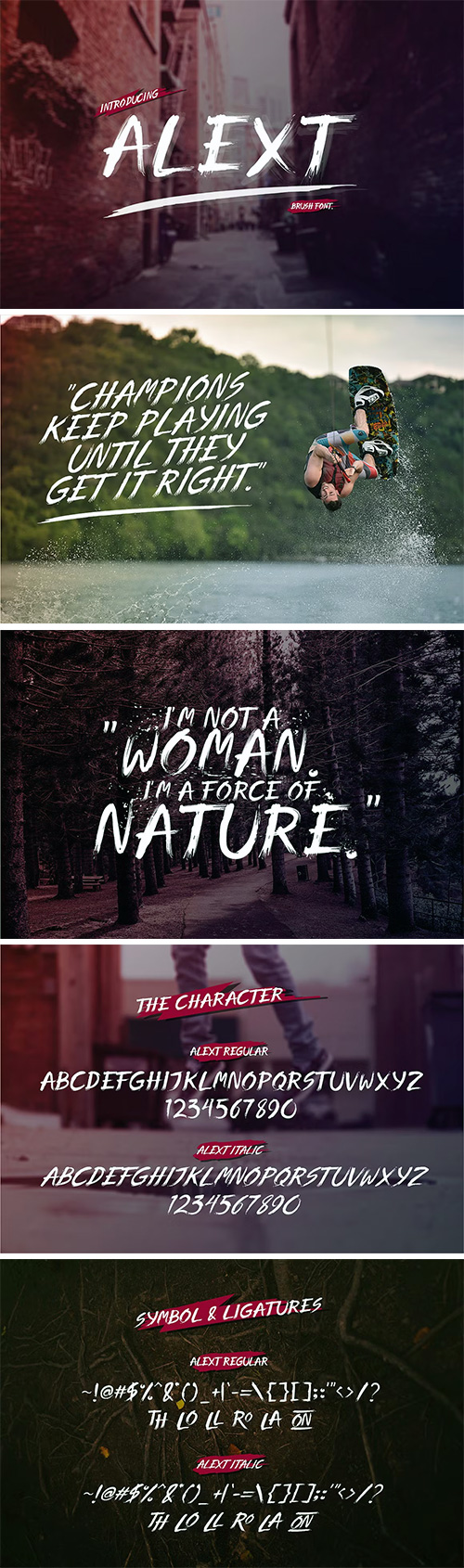 Alext Font Family 2xOTF 1042621