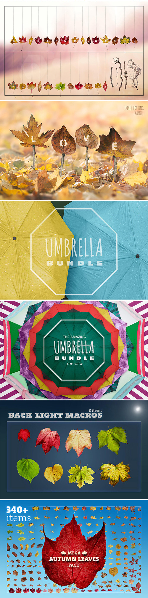 Mega Autumn Design Bundle with 700+ Elements