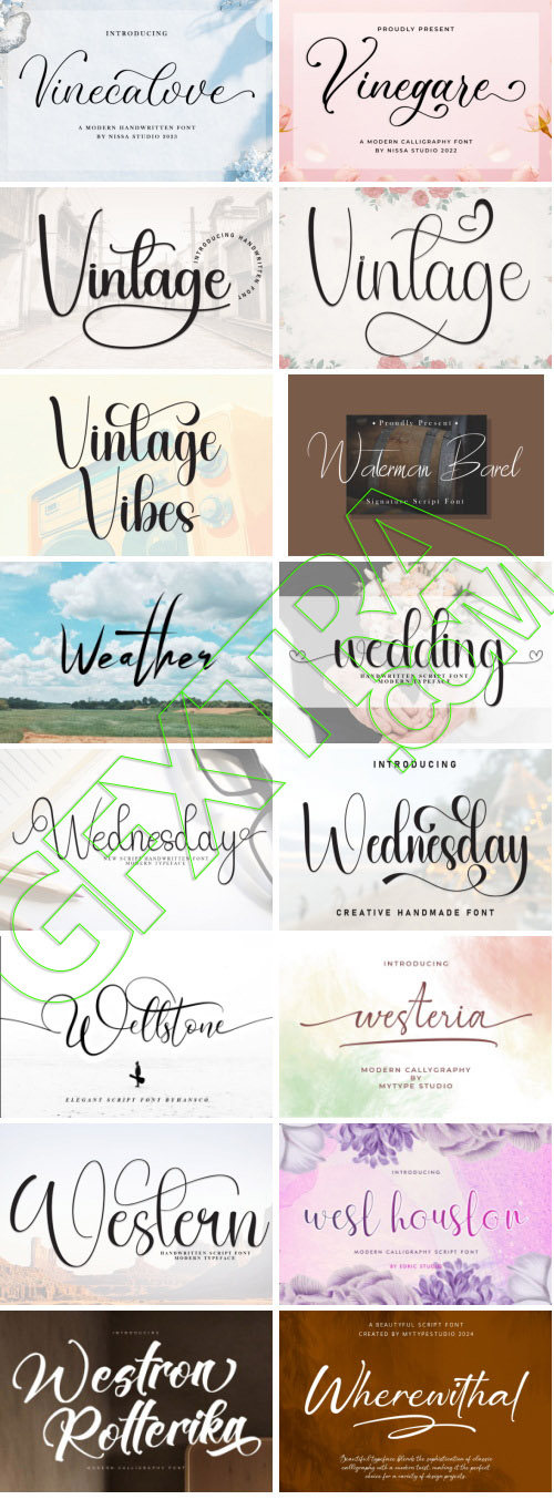 Elegance Script 569 Typefaces Bundle 682xOTF 445xTTF