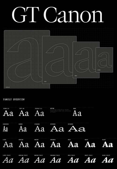 GT Canon - New! 2026's Biggest Font Family 224xTTF $1512
