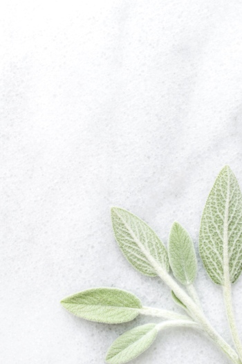 Copper Fall BUNDLE // KateMaxStock 34xJPG 2058290