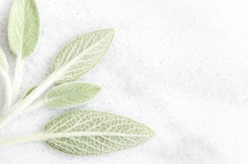 Copper Fall BUNDLE // KateMaxStock 34xJPG 2058290