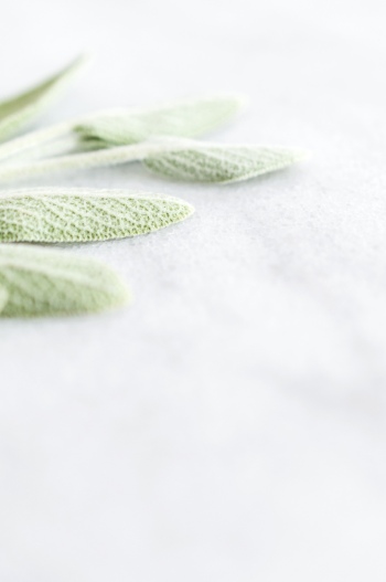 Copper Fall BUNDLE // KateMaxStock 34xJPG 2058290