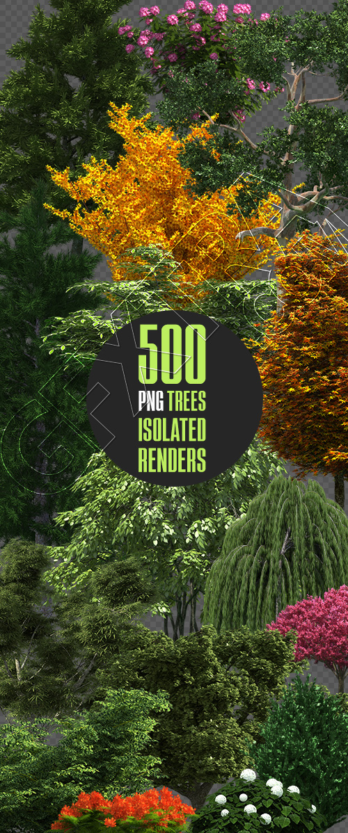 500 Isolated PNG Tree Renders