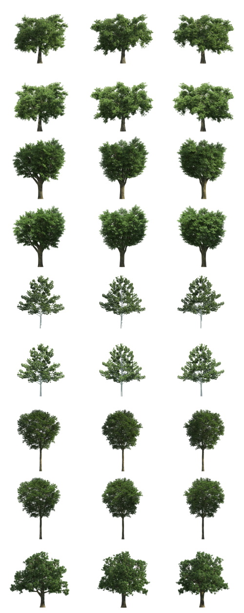 500 Isolated PNG Tree Renders