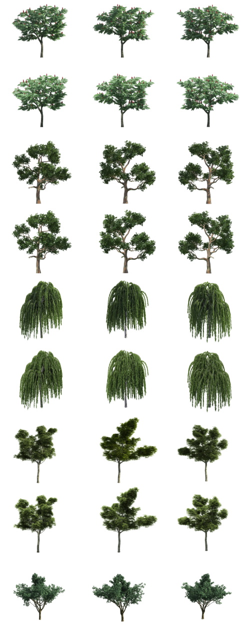 500 Isolated PNG Tree Renders