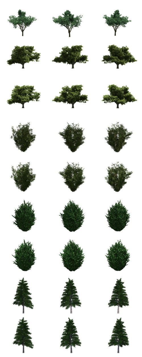 500 Isolated PNG Tree Renders