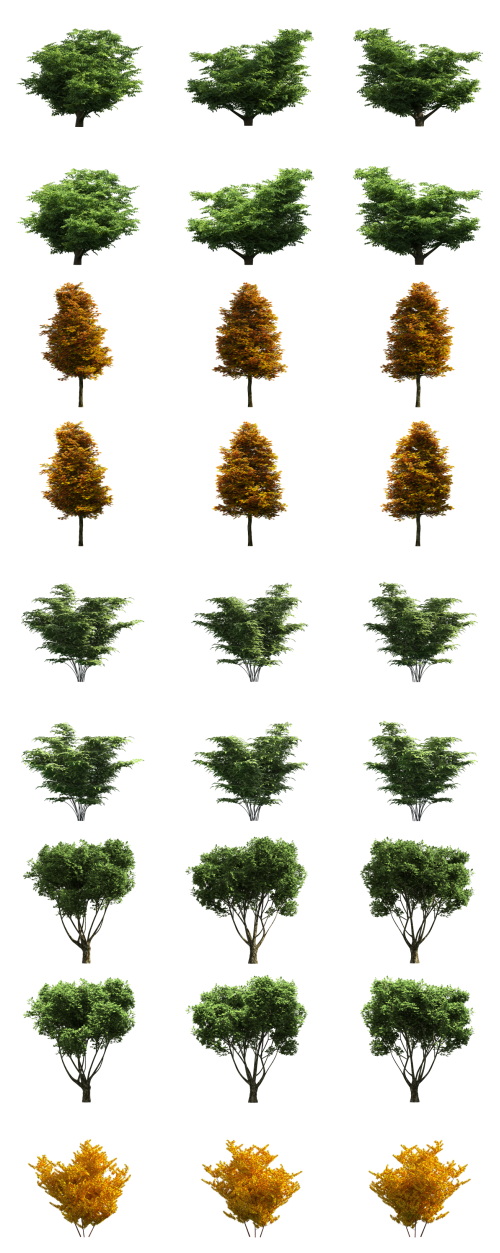 500 Isolated PNG Tree Renders
