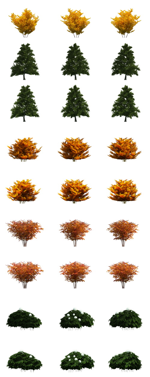 500 Isolated PNG Tree Renders