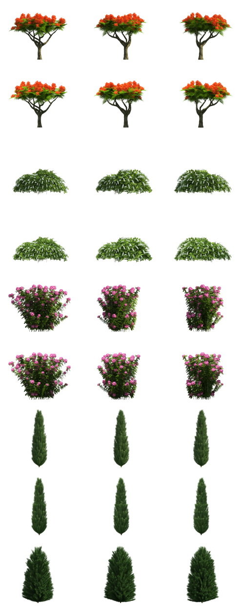 500 Isolated PNG Tree Renders