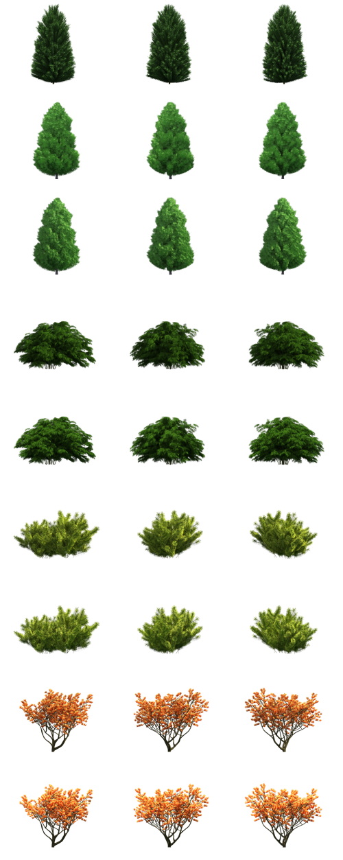 500 Isolated PNG Tree Renders