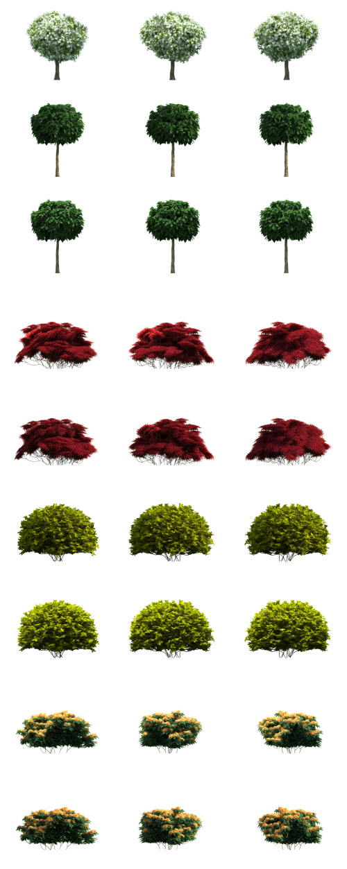 500 Isolated PNG Tree Renders