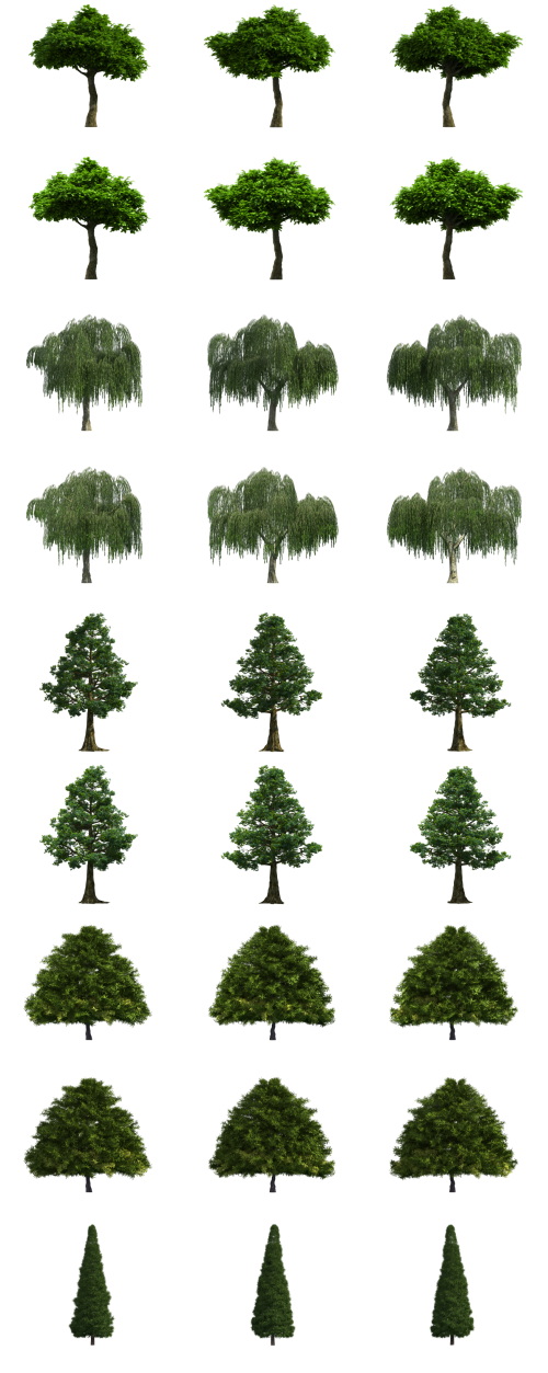 500 Isolated PNG Tree Renders