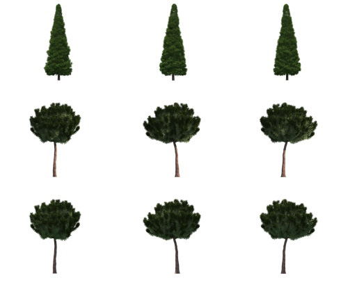 500 Isolated PNG Tree Renders