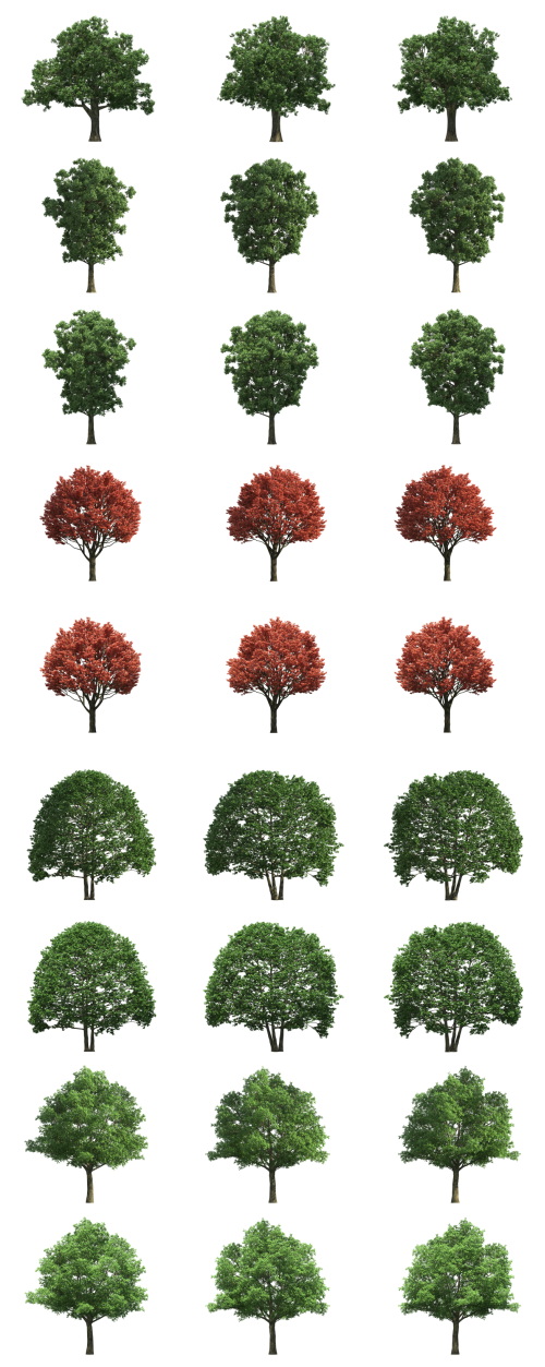 500 Isolated PNG Tree Renders