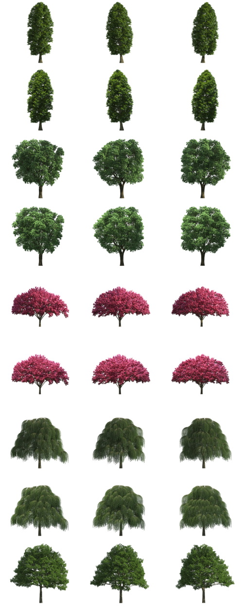500 Isolated PNG Tree Renders