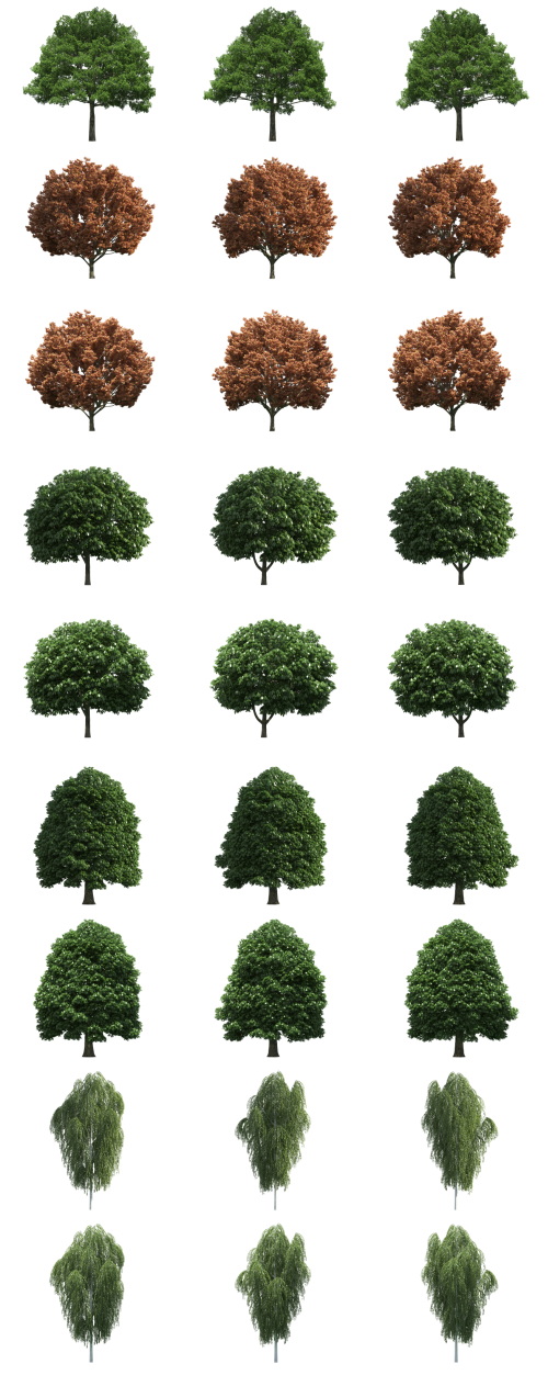 500 Isolated PNG Tree Renders
