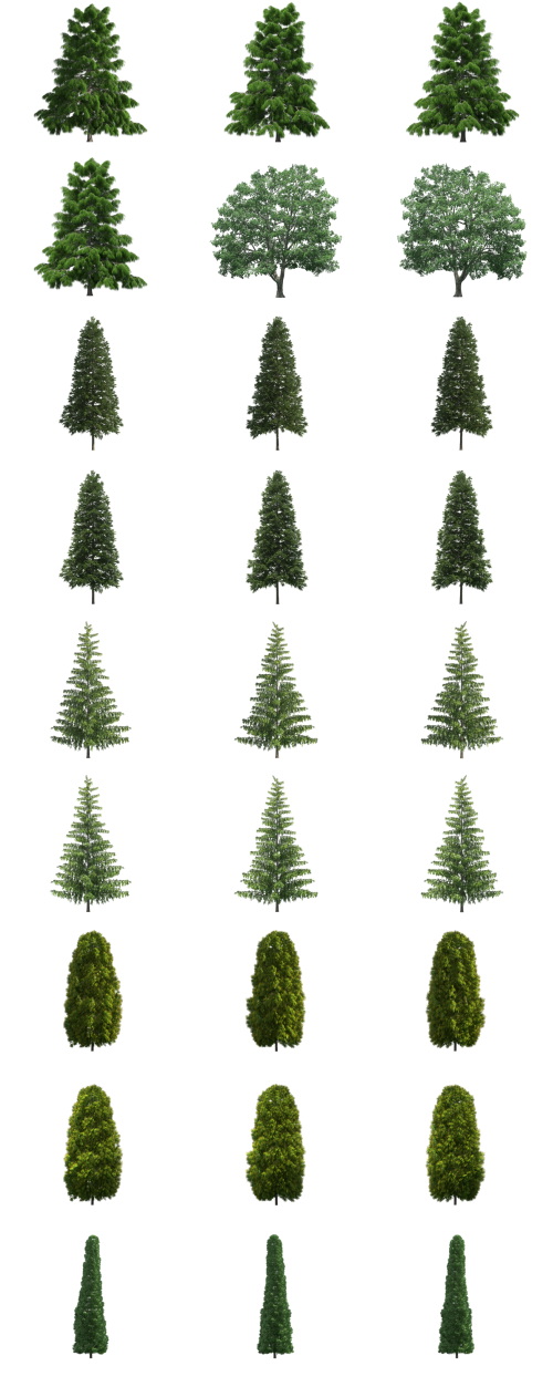 500 Isolated PNG Tree Renders