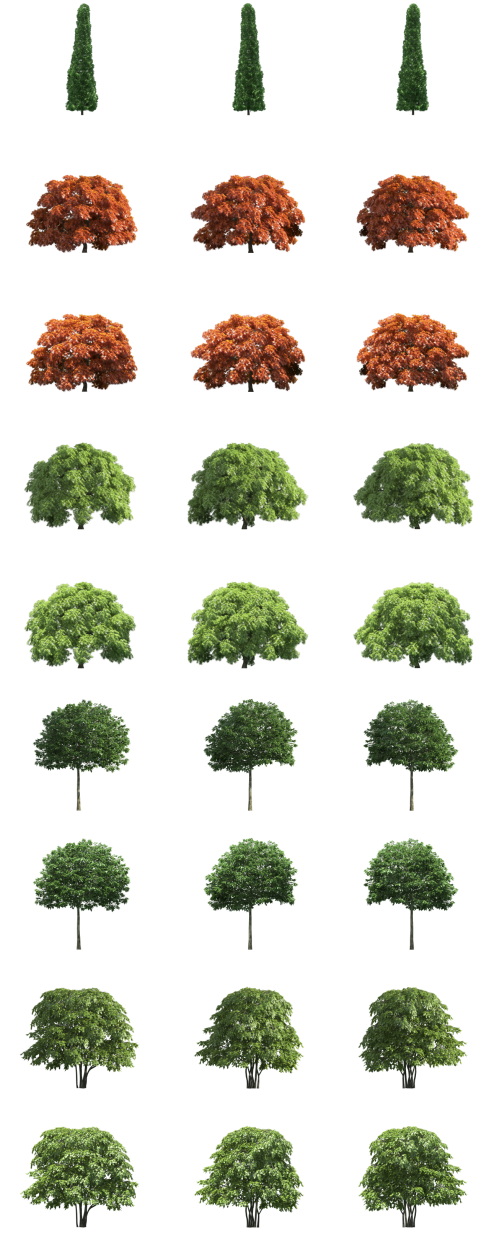 500 Isolated PNG Tree Renders