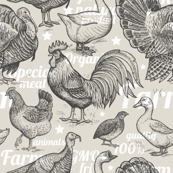Chicken & Rooster Logos, Patterns 31xAI