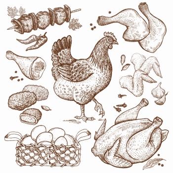 Chicken & Rooster Logos, Patterns 31xAI