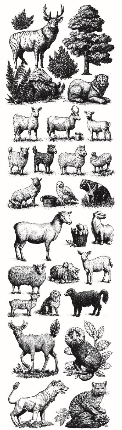 Engravers & Sketches Design Elements 30xAI