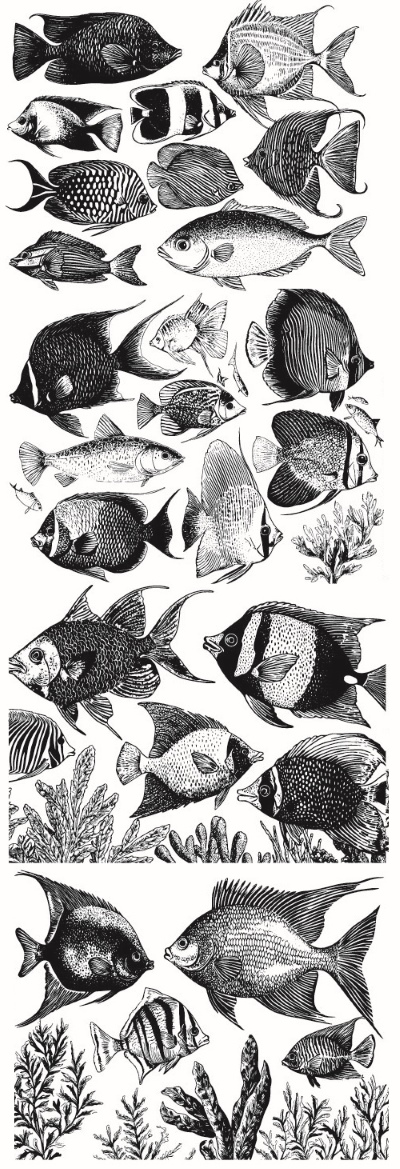 Engravers & Sketches Design Elements 30xAI