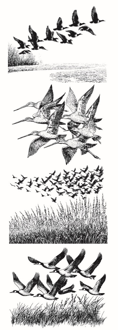 Engravers & Sketches Design Elements 30xAI