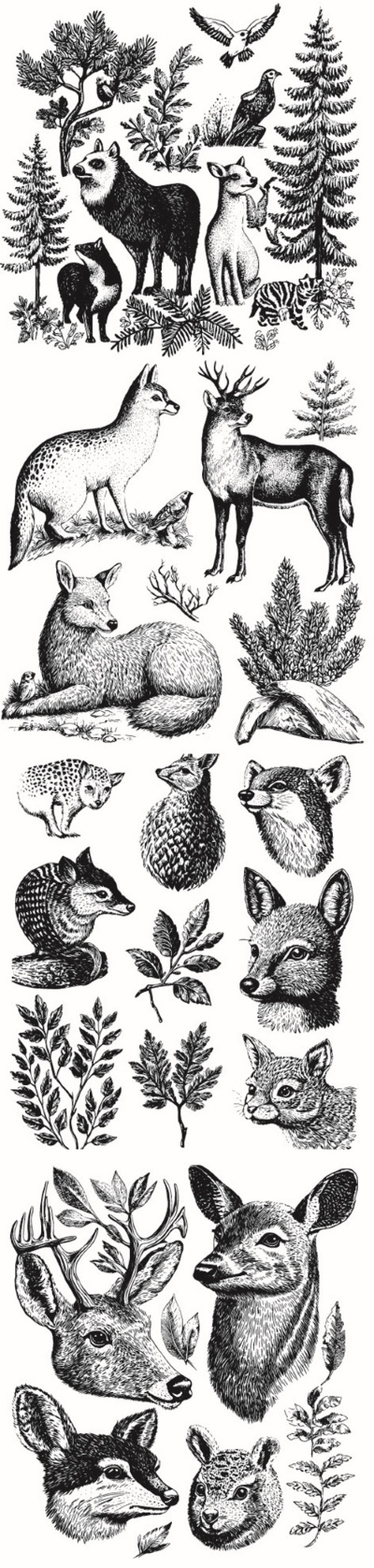 Engravers & Sketches Design Elements 30xAI